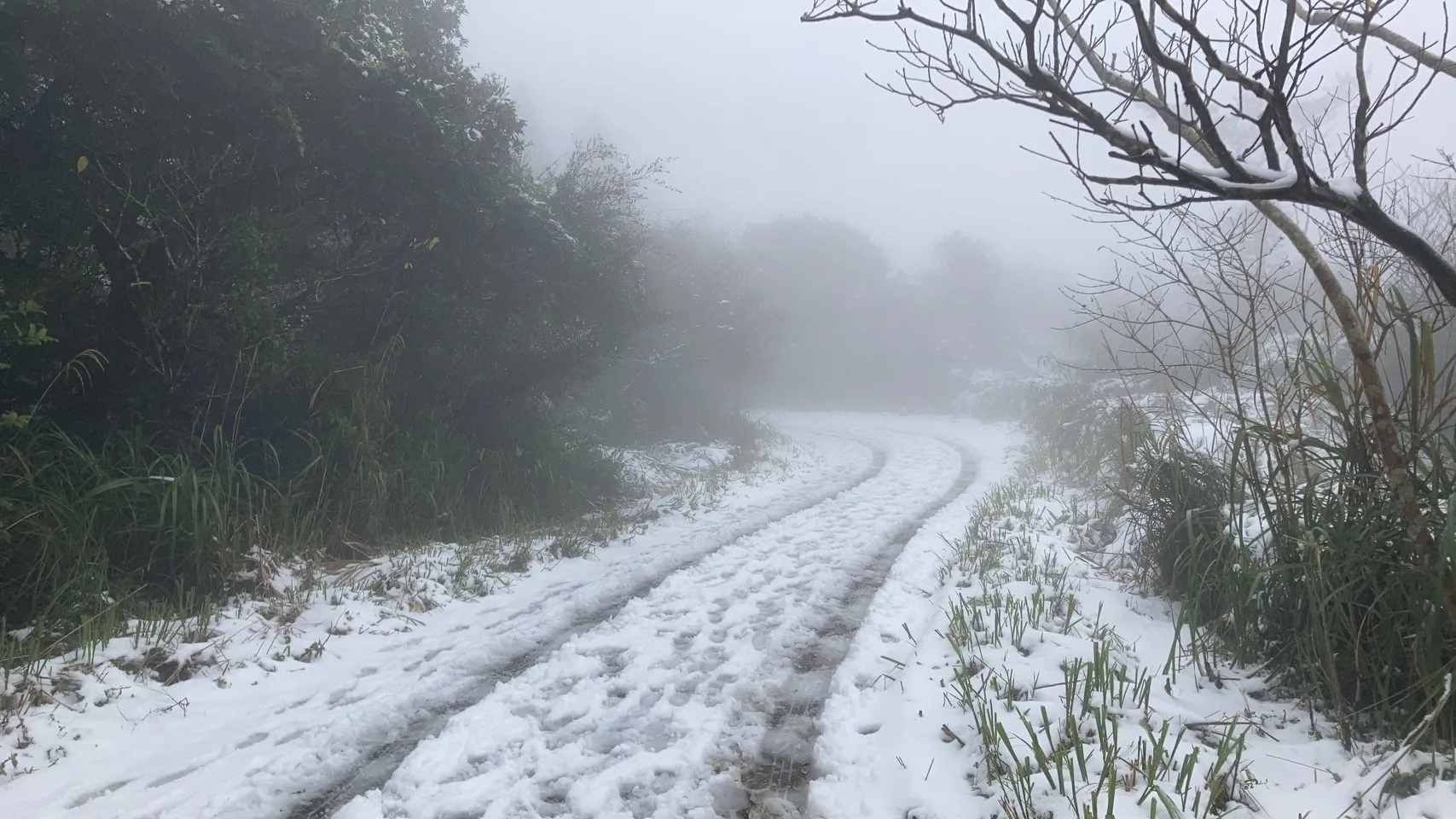 陽明山上（23）日路面已布滿厚厚積雪。涂志豪攝