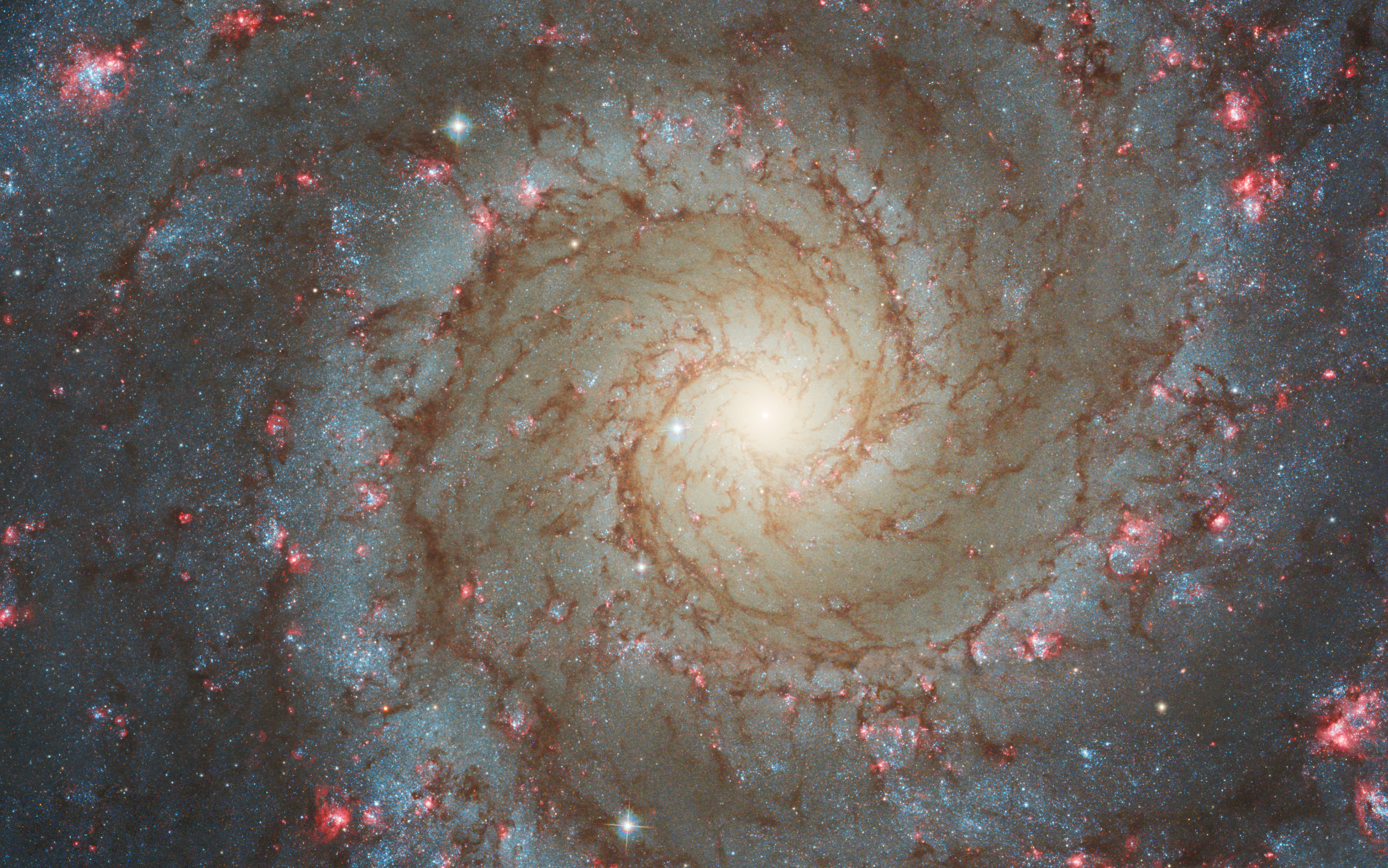 哈伯拍攝的 NGC 628 影像顯示了一個人口稠密的正面螺旋星系。取自NASA網頁
