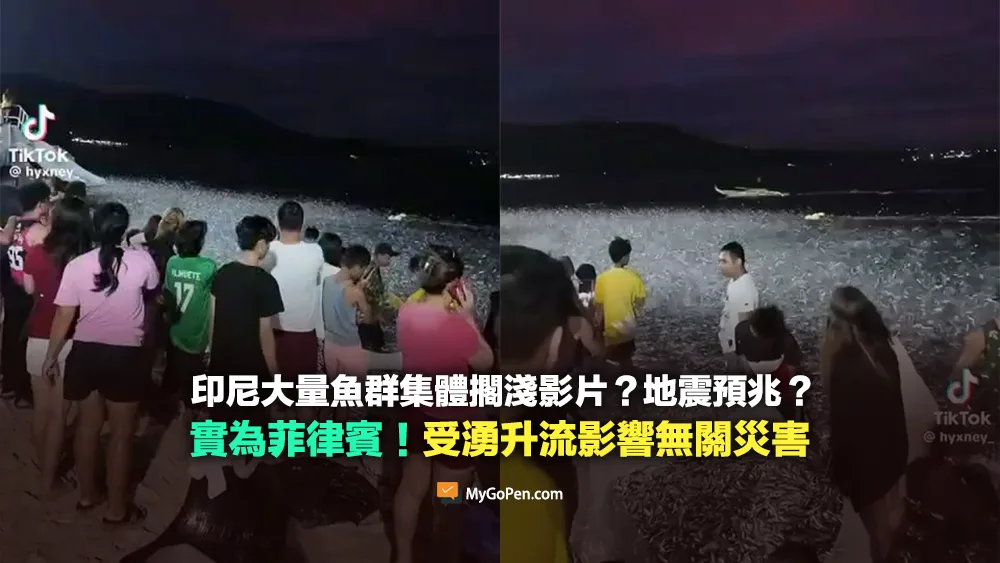 【誤導】印尼大量魚群集體擱淺影片？地震預兆？地點在菲律賓！受湧升流影響無關災害