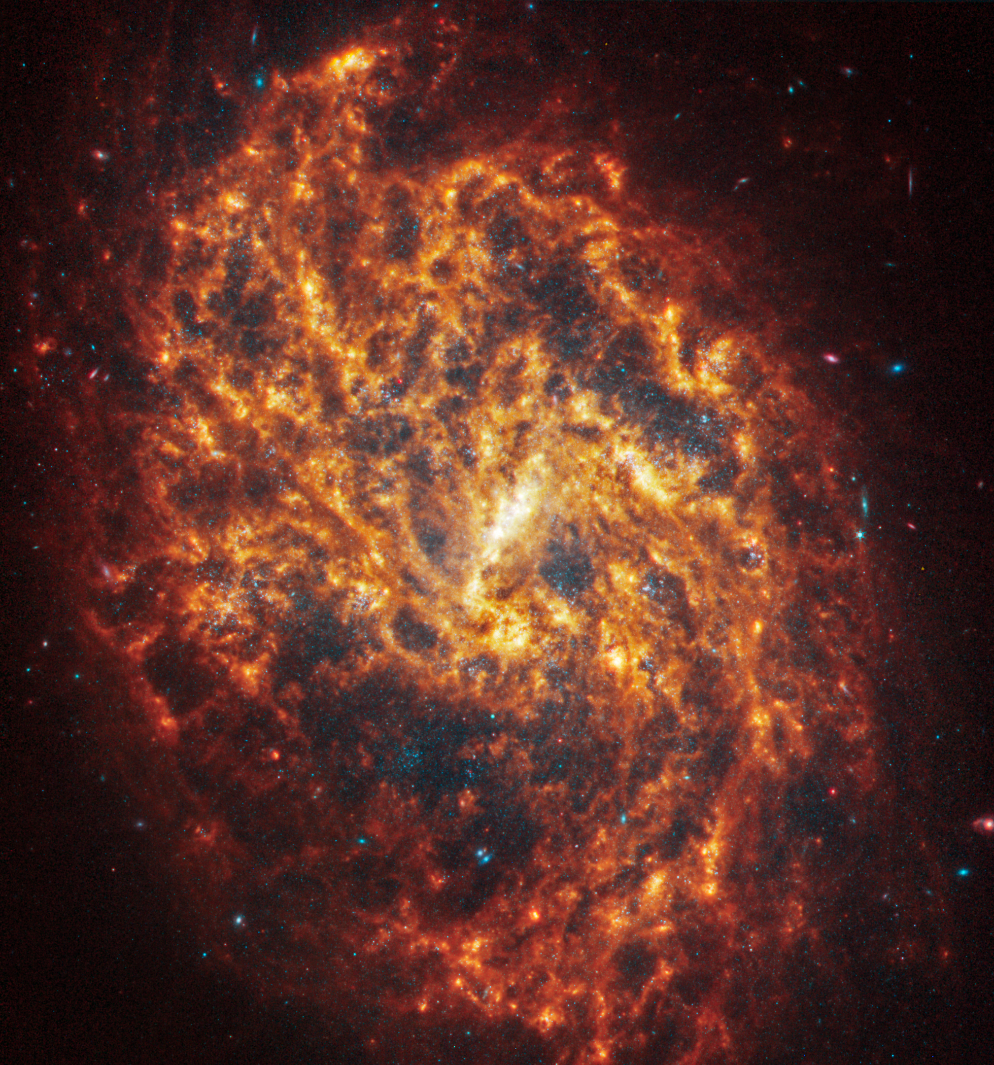 韋伯望遠鏡正面觀察螺旋星系 NGC 4254。取自NASA網頁