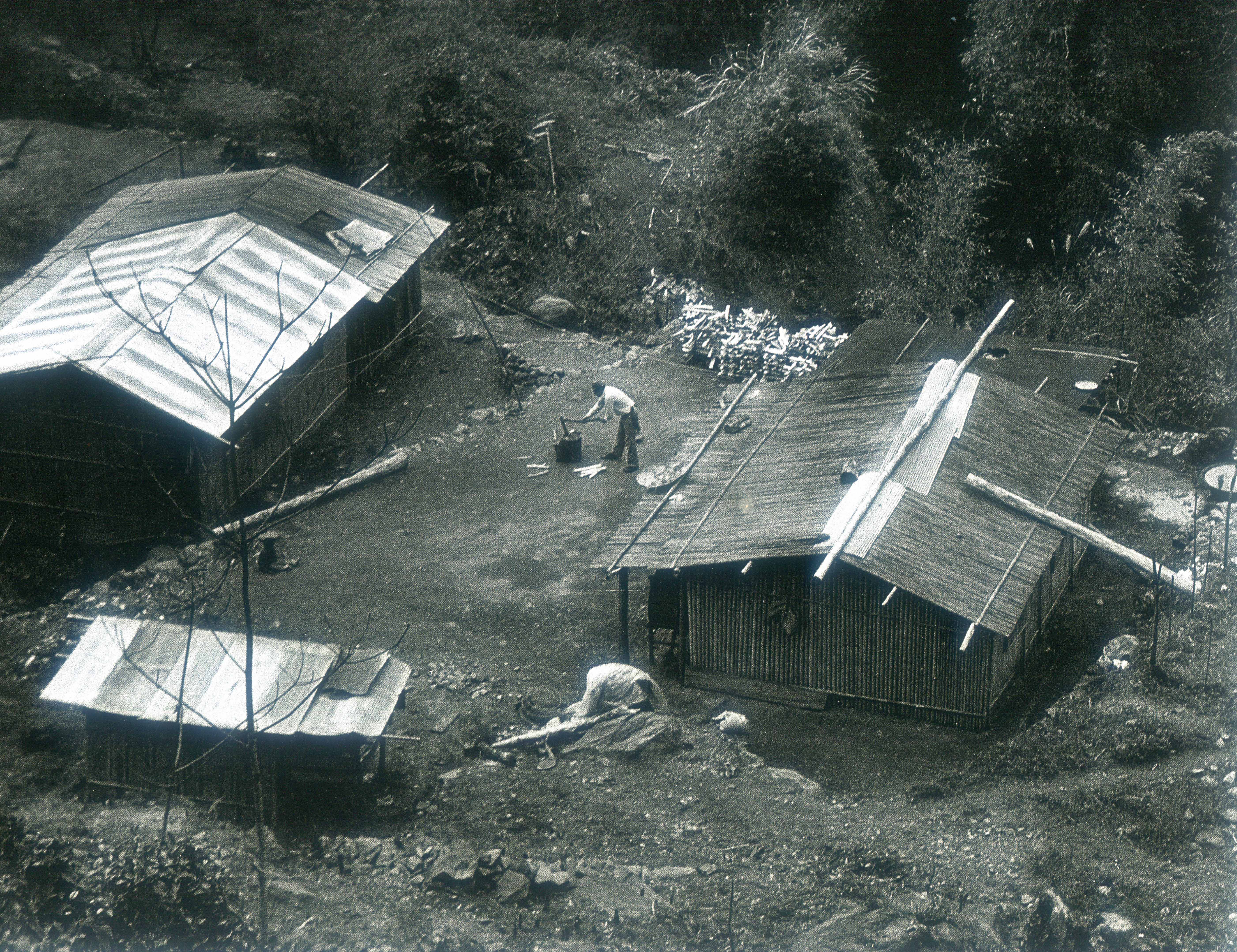 泰安鄉麻必浩張謝基的住家,房舍簡陋,主人正在劈柴,攝於1959年。羅漢章提供