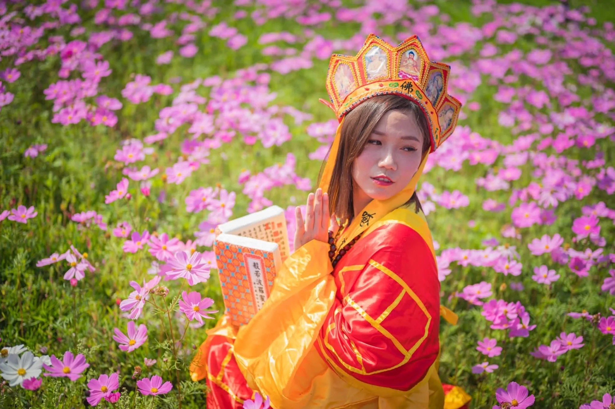 美濃湖旁的波斯菊花海。屠潔提供