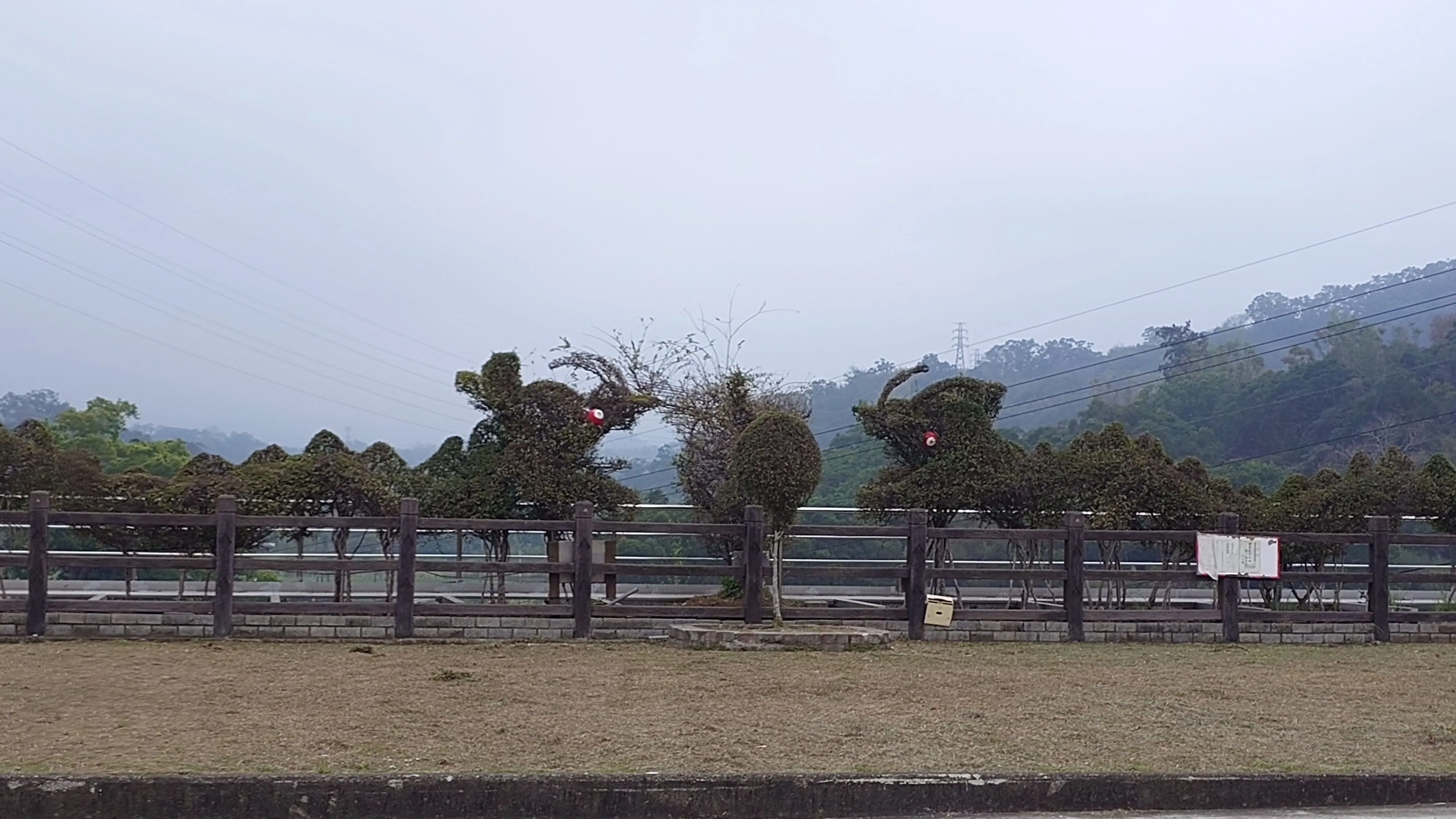 明年是龍年,苗栗縣頭屋鄉曲洞宮前的「雙龍搶珠」園藝造景,栩栩如生。何來美攝