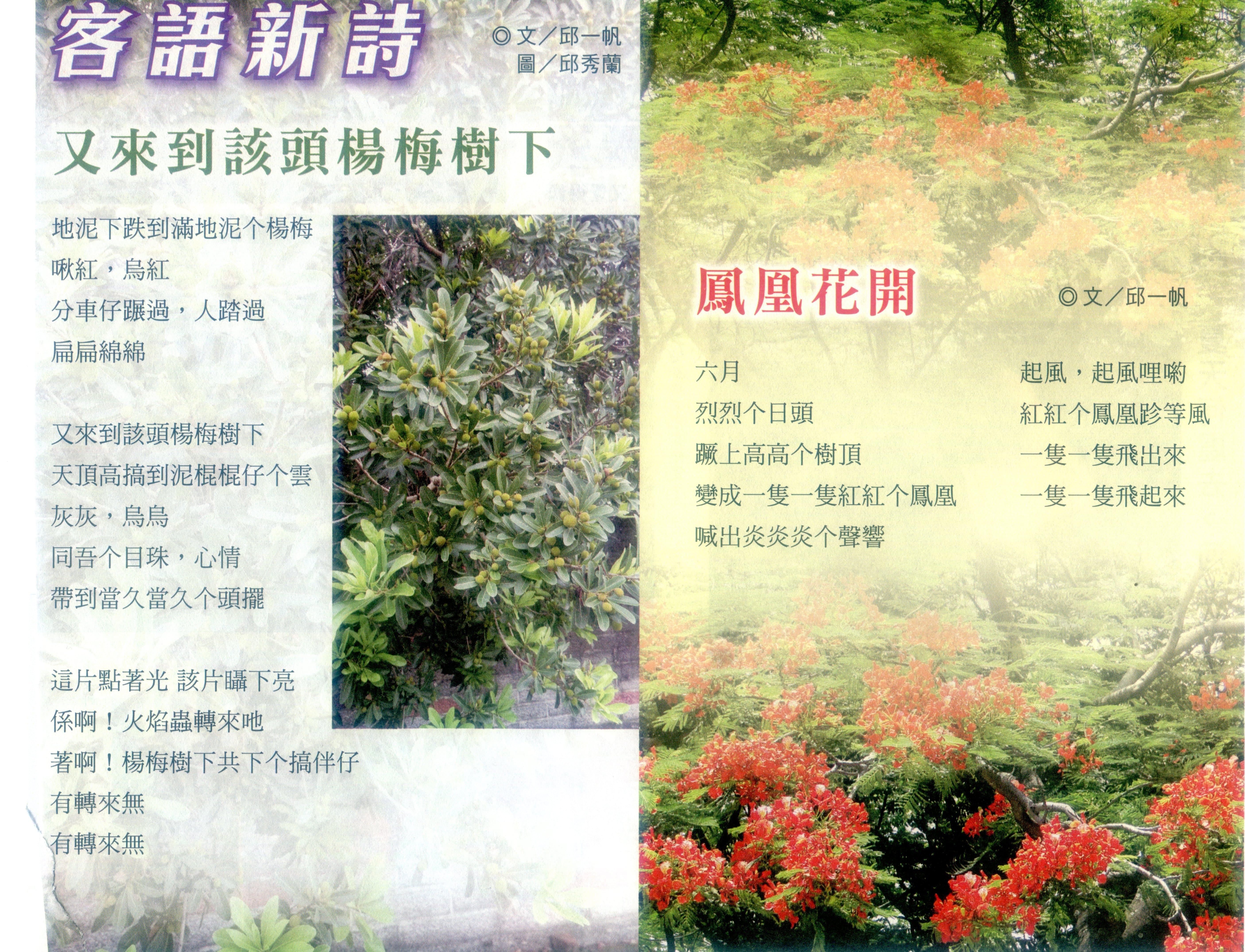 客語詩人邱一帆每期都有客語詩作,他是前任發行人,也是供稿主力。何來美攝