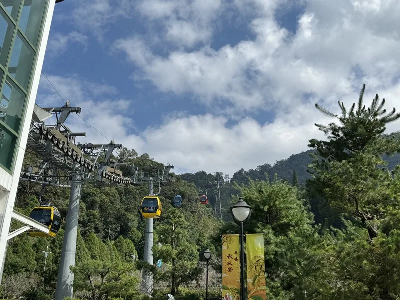 日月潭、陽明山公園超夯　112年皆破百萬人次造訪