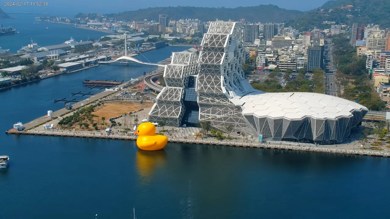 高雄黃色小鴨限定期間全天候直播。取自高雄旅遊網直播畫面