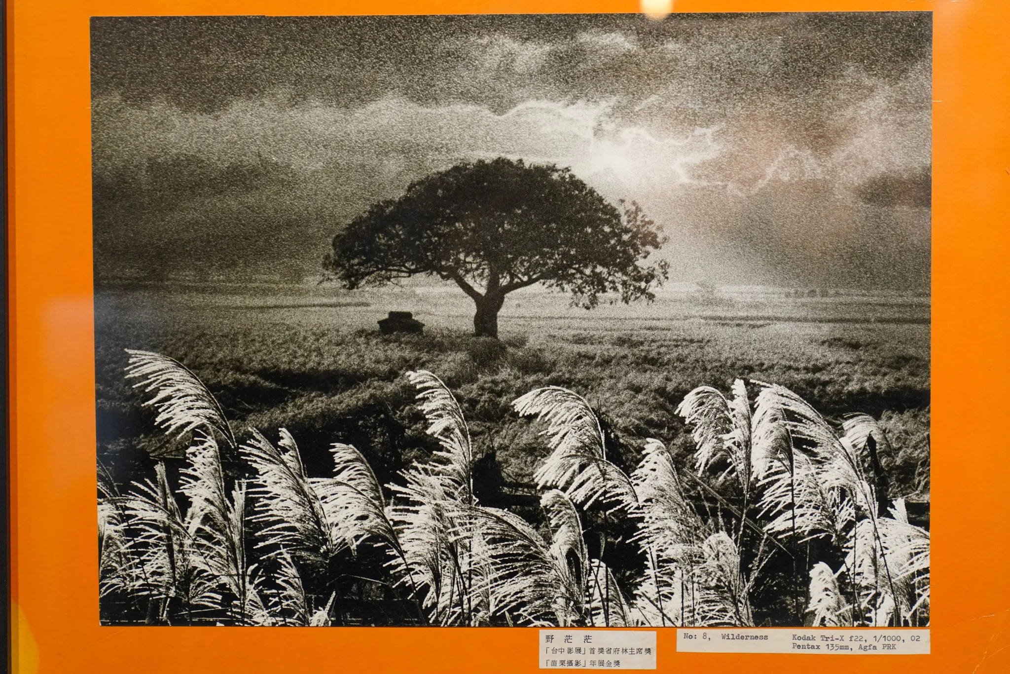 《野茫茫》多張底片重複合成，獲省政府影賽首獎，苗栗西湖，1976年，陳雲錦提供。