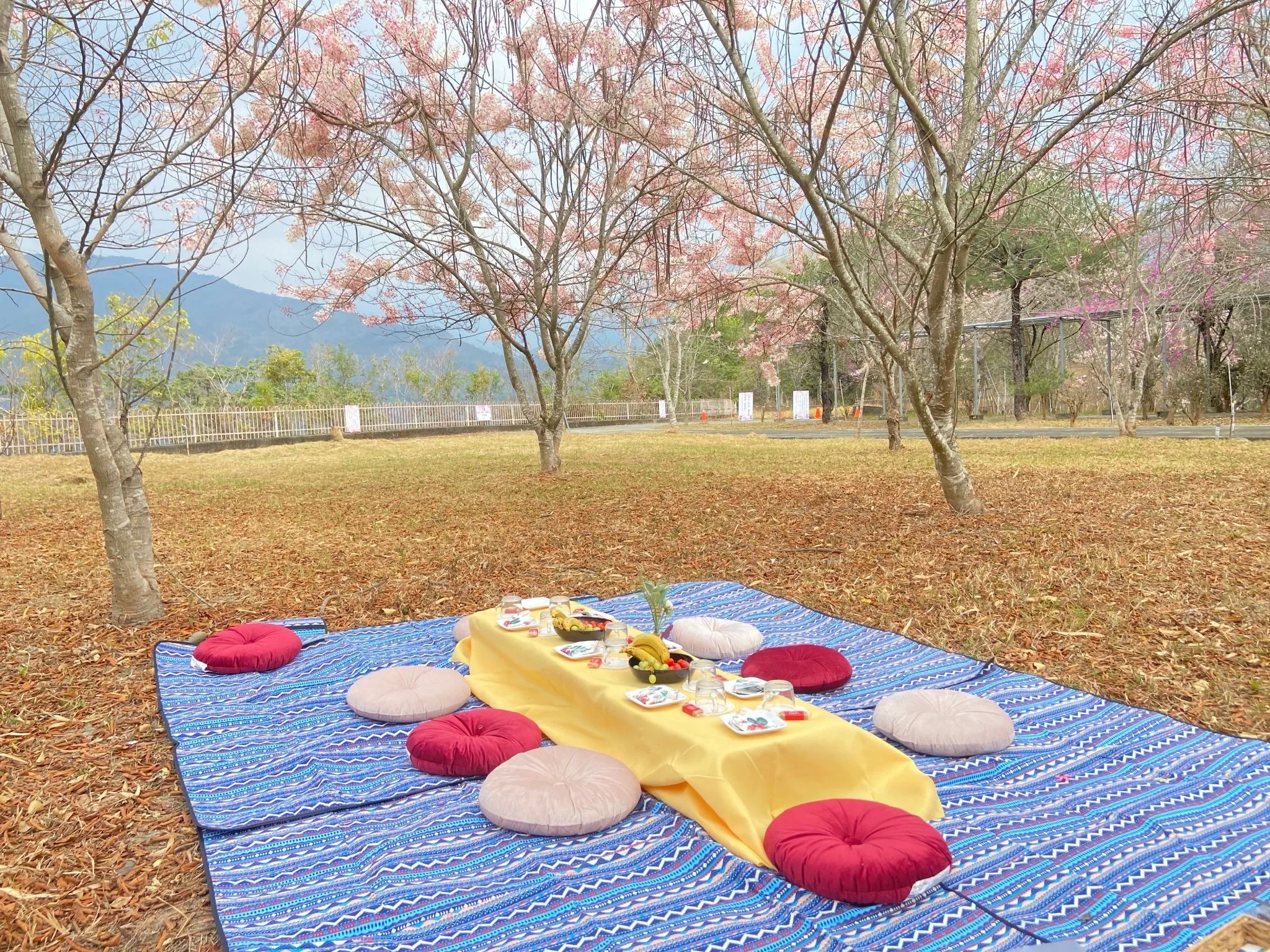 民眾可一邊賞花一邊野餐。茂管處提供