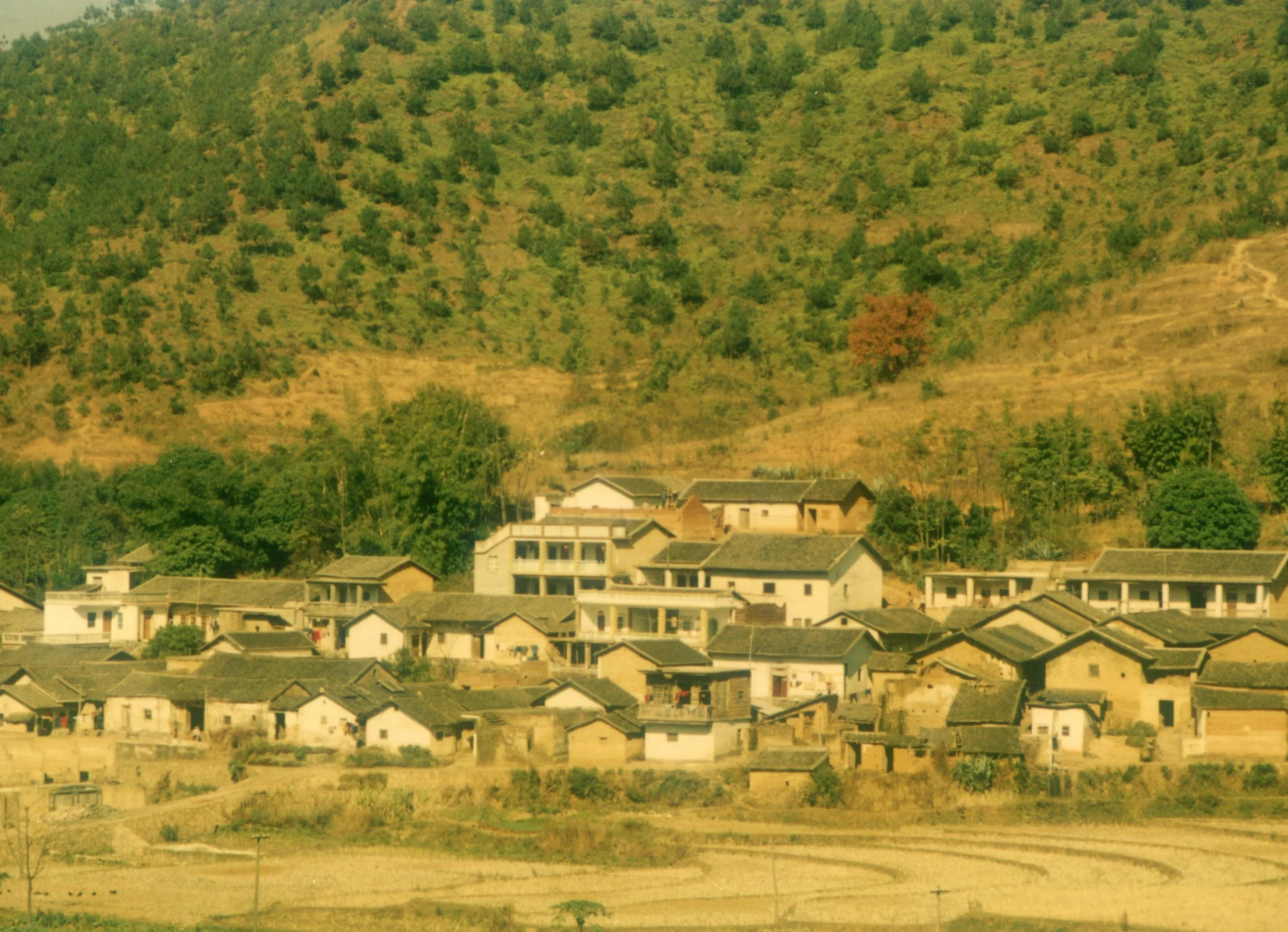 廣東梅州(嘉應州)是臺灣客家人的主要原鄉,圖為1989年的梅州山村聚落。何來美攝
