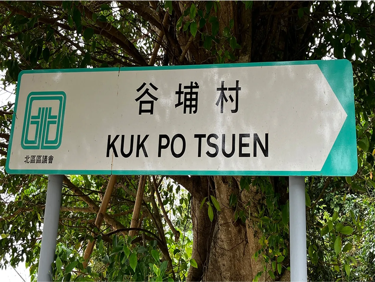 谷埔村。作者提供