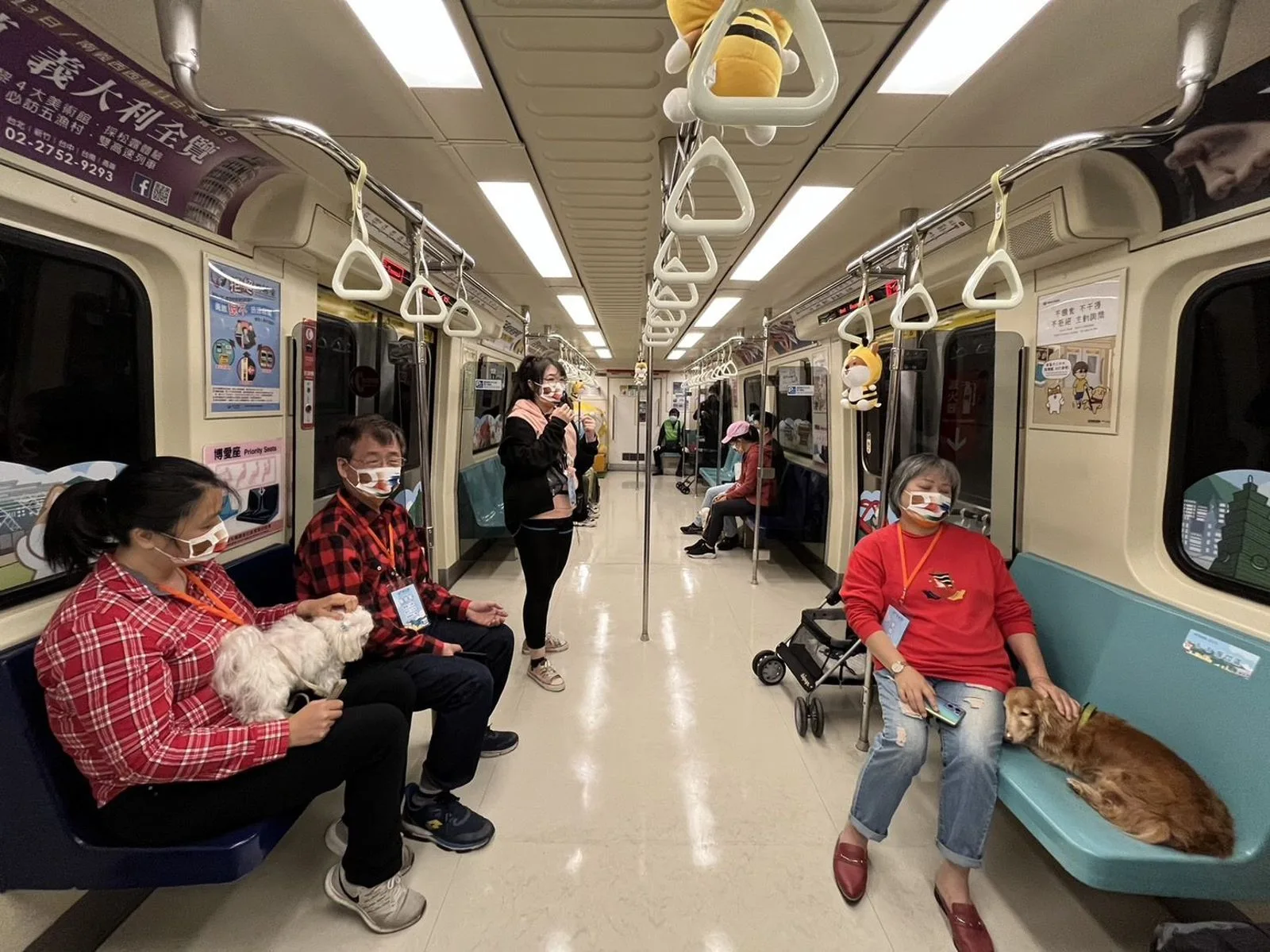 北捷寵物友善列車擴大舉辦　31日淡水信義線8班次「犬貓搭車免關籠」