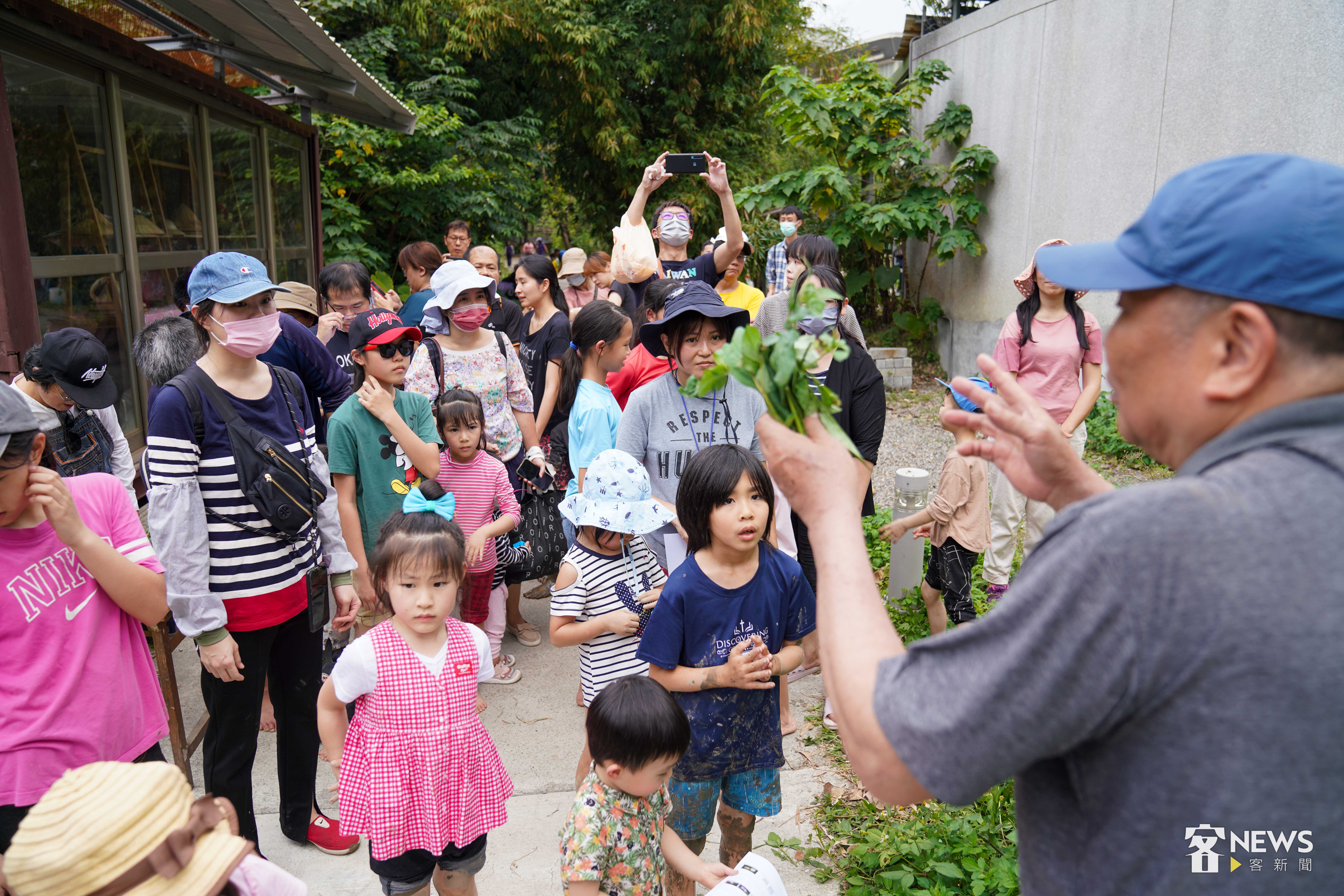 在社區長輩帶領下，家長與小朋友一同認識野菜植物。李台源攝