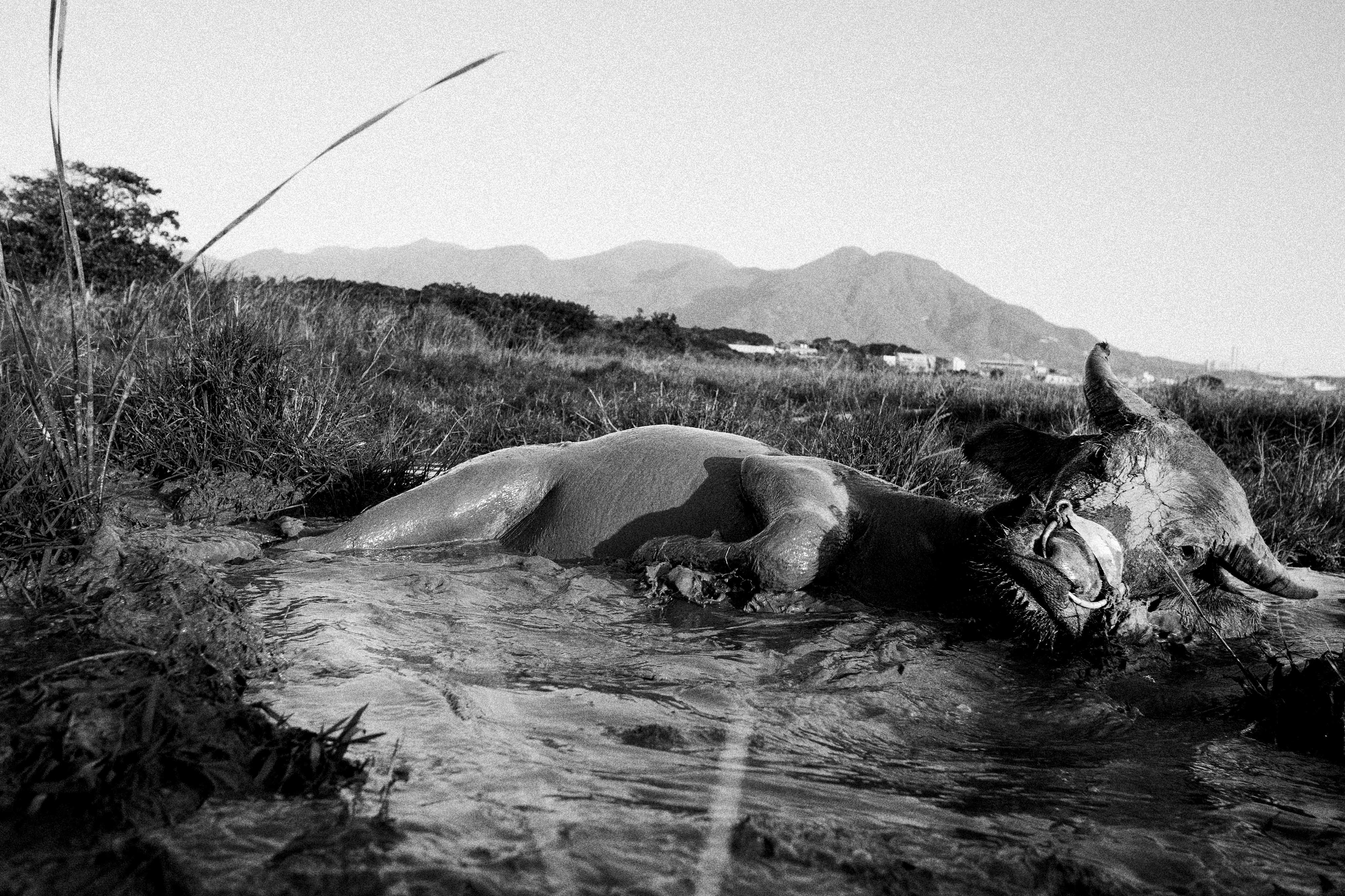 淡水義山里,2012年,收錄於《淡水張良一》。張良一攝