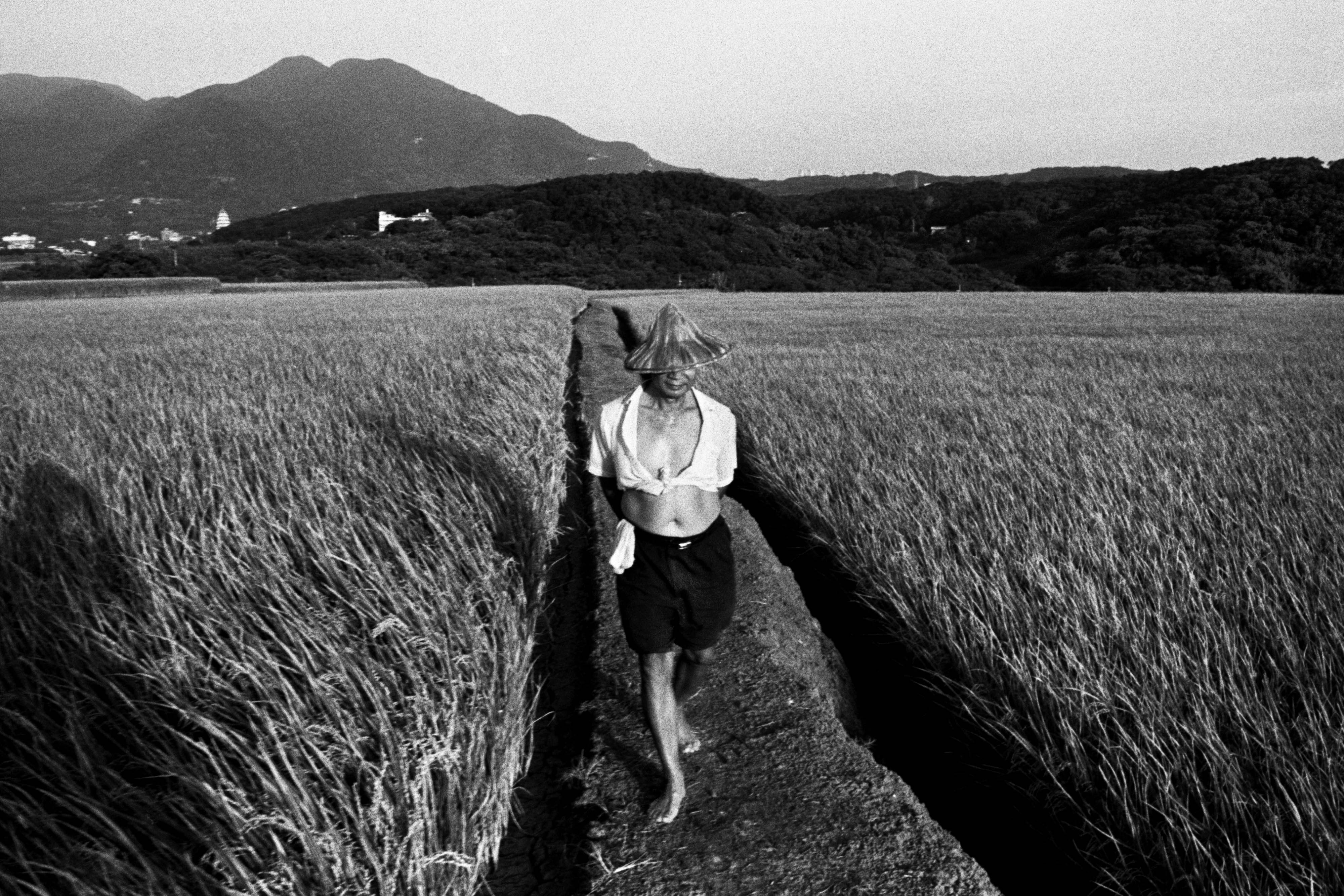 淡水埤島,2007年,收錄於《淡水張良一》。張良一攝