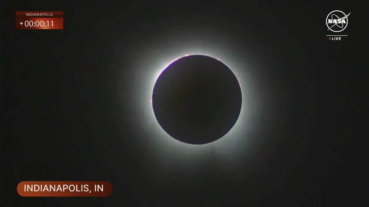 NASA在X平台上，直播北美洲日全食畫面。取自twitter.com/NASA