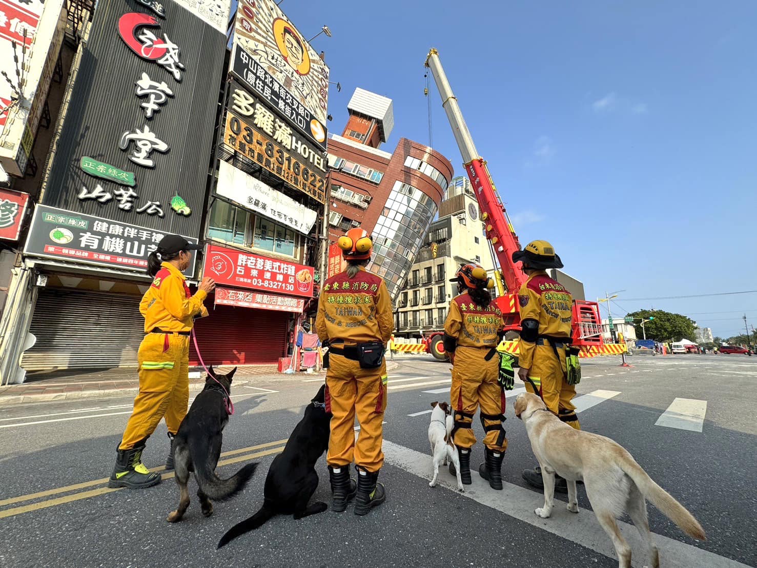 搜救犬訓練需長時間付出心力,極其專業也非常嚴格,需累積上千小時以上訓練並和領犬員長期培養默契,才得以訓練成熟、展現國際級搜救能力。取自臺東縣消防局搜救犬粉專