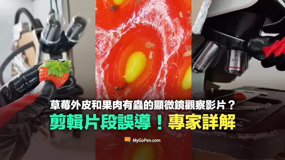 【部分錯誤】網傳草莓外皮和果肉有蟲的顯微鏡觀察影片？誤導剪輯！專家詳解
