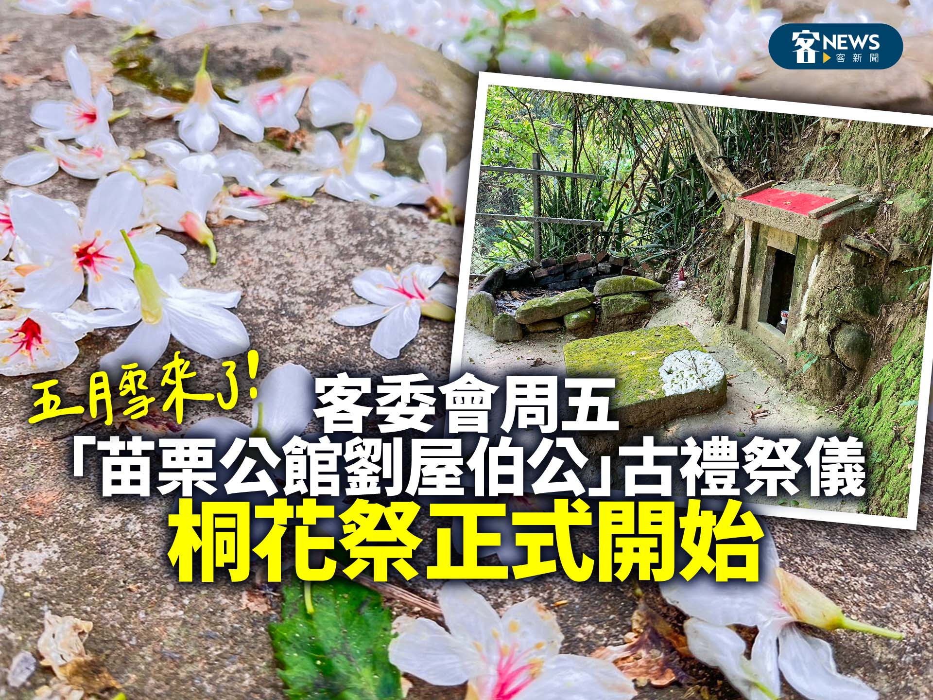 五月雪來了！客委會周五「苗栗公館劉屋伯公」古禮祭儀：桐花祭正式開始