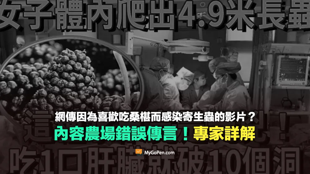 【錯誤】網傳因為喜歡吃桑椹而感染寄生蟲的影片？內容農場誤導傳言！專家詳解