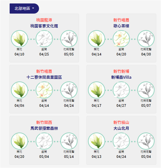 根據中央客委會建置的「桐花花況預測平台」開花最新資訊,桃園的桐花已在4月10日陸續盛開,現在桃園的桐花已開約5成,而桃園龍潭「桃園客家文化館」預測站則預估4月25日桃園的桐花會全部盛開,5月5日則是尾聲。翻攝自桐花花況預測平台