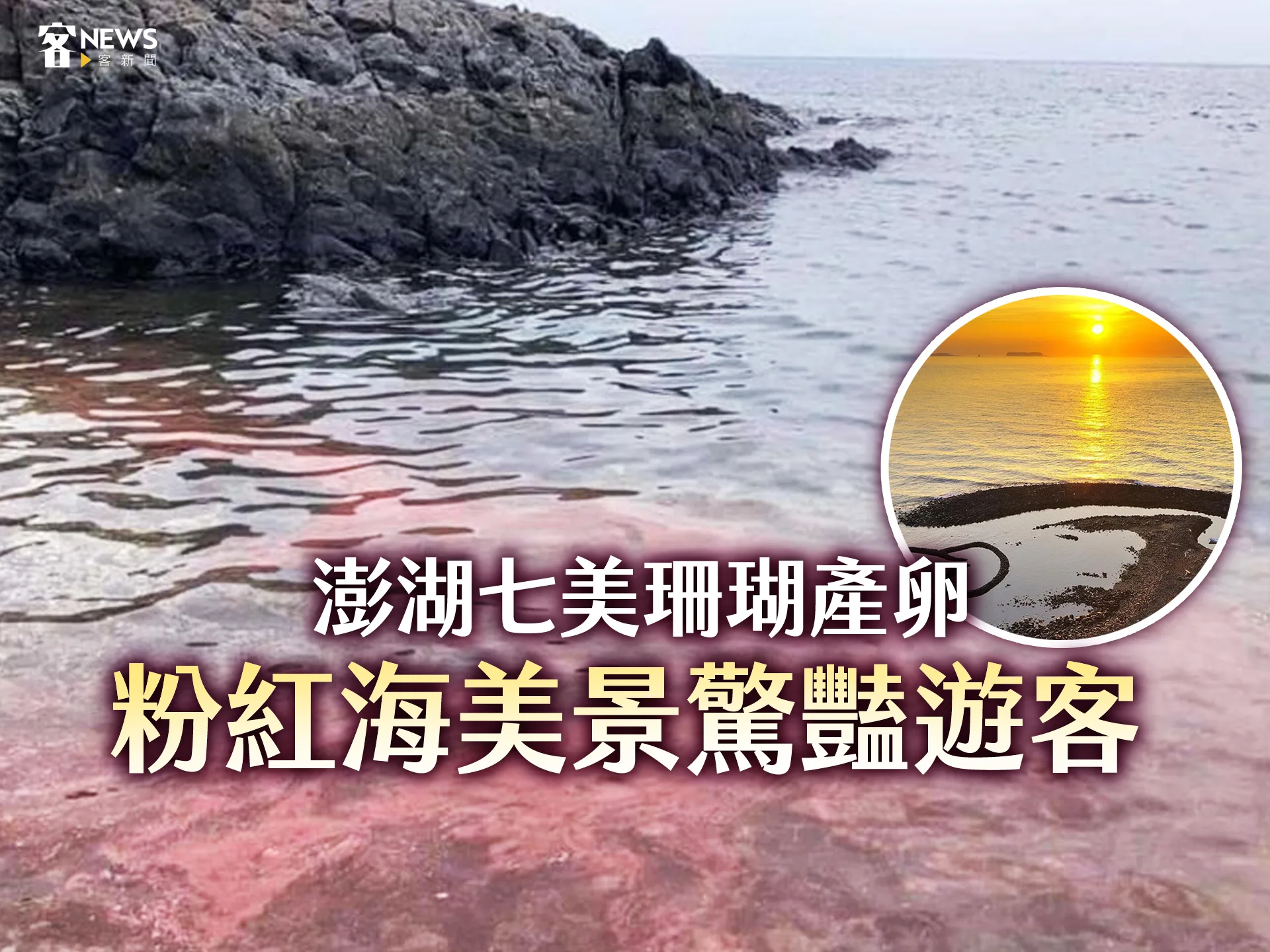 澎湖七美珊瑚產卵　粉紅海美景驚豔遊客