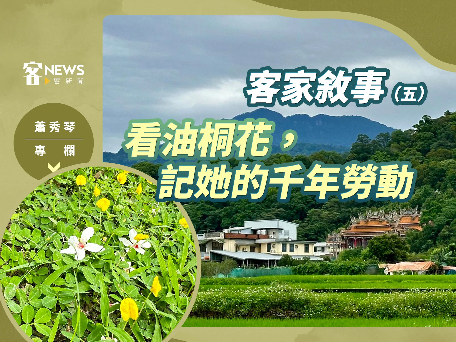 蕭秀琴專欄／客家敘事（五）　看油桐花，記她的千年勞動