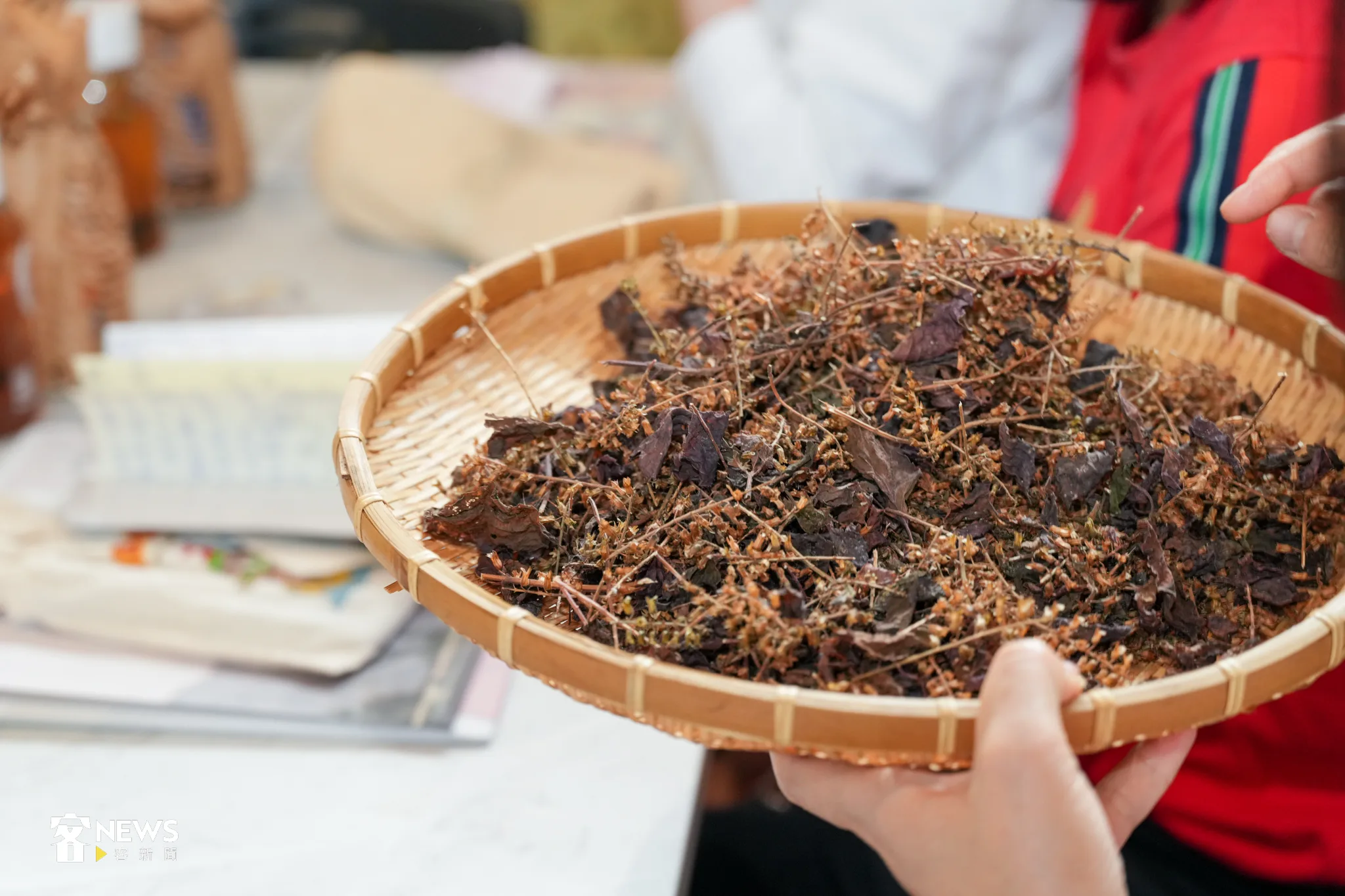 現場準備許多常見的客家草本，讓大家輪流體驗氣味去感受草本的原味。宋佩遙攝