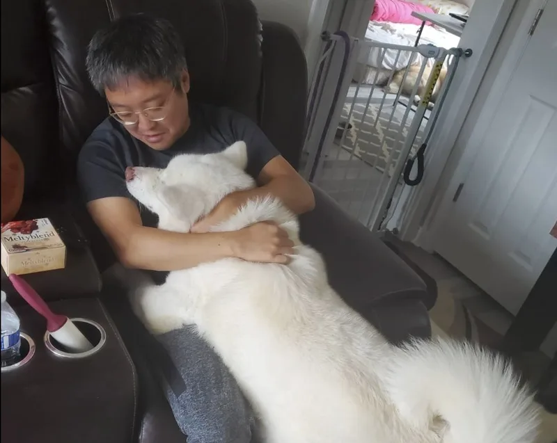 李逸潔的韓國籍先生趙義賢與秋田犬。中央社