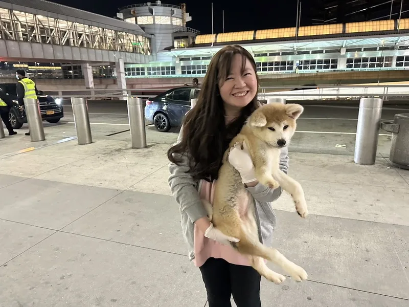李逸潔一次次自行開車到紐約機場接狗狗，先生看在眼裡，從原先反對到態度軟化。圖為李逸潔前往機場接浪浪。（李逸潔提供）中央社