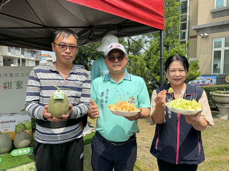 崙背洋香瓜節11日登場　克服氣候變遷栽種面積年年增