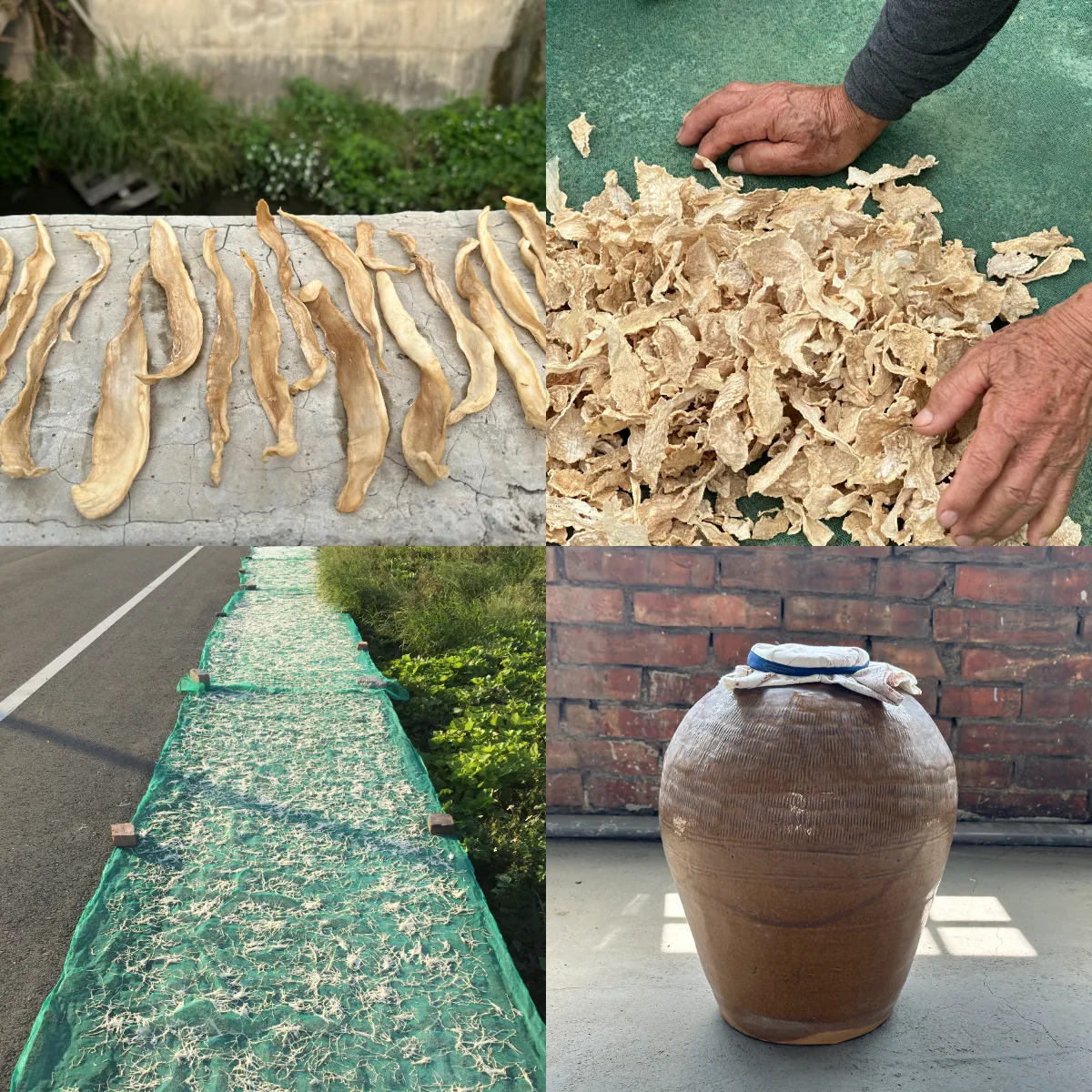 左上為在橋欄上曬蘿蔔乾、右上為蘿蔔錢,左下是曬蘿蔔絲要大面積攤平,因此在鄉道田脣邊就曬起來,右下是裝蘿蔔乾的甕。蕭秀琴攝
