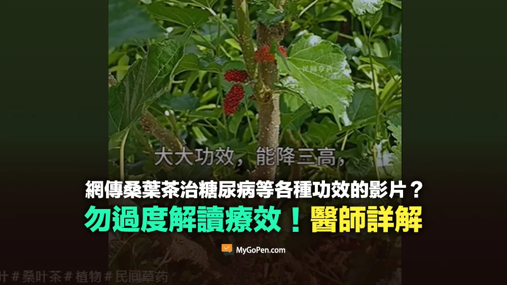 【易誤解】桑葉茶治糖尿病等各種功效的影片？勿過度解讀效果！醫師詳解