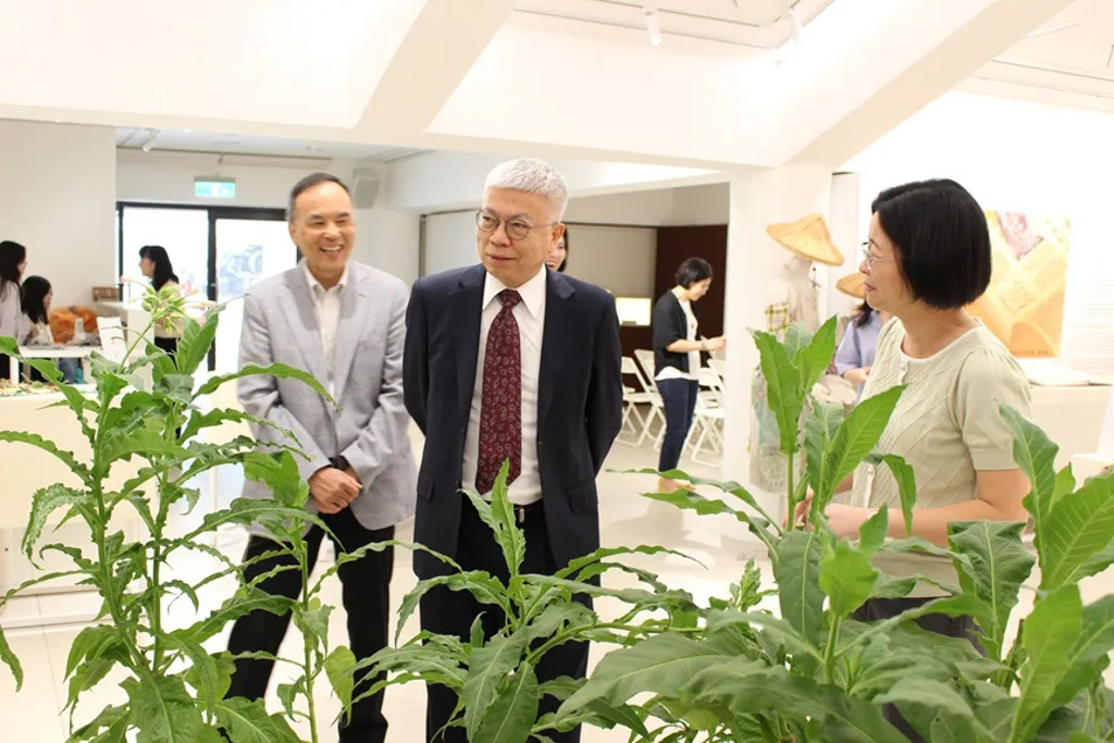 「彼時・菸葉黃了！」展出珍貴的菸草植栽，帶大家從不同面向認識菸草產業文化資產。北科大提供