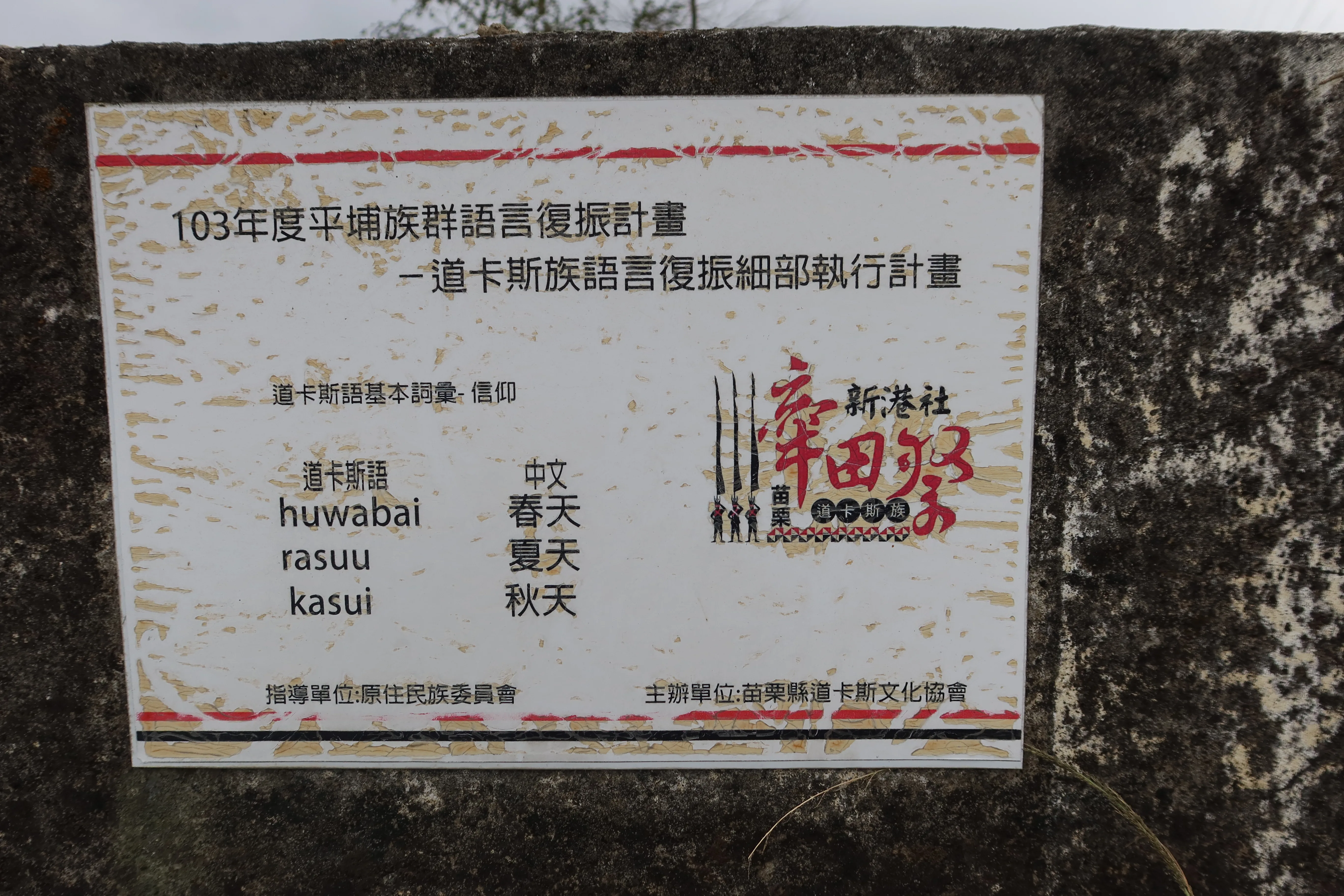 後龍鎮新港社道卡斯族後裔成立苗栗縣道卡斯族文化協會，並希望能復育族語，用心良苦。何來美攝