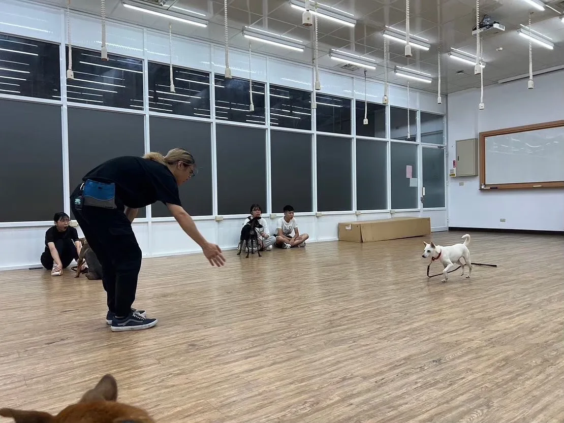 本次課程與大仁科技大學合作,聘請專業訓犬師於開課(資料照)。翻攝自高雄市動物保護處粉絲團