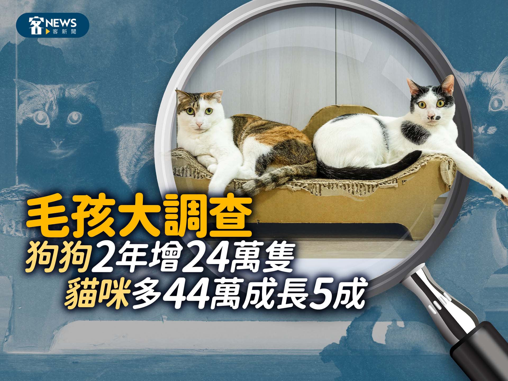 毛孩大調查！　狗狗2年增24萬隻、貓咪增44萬隻