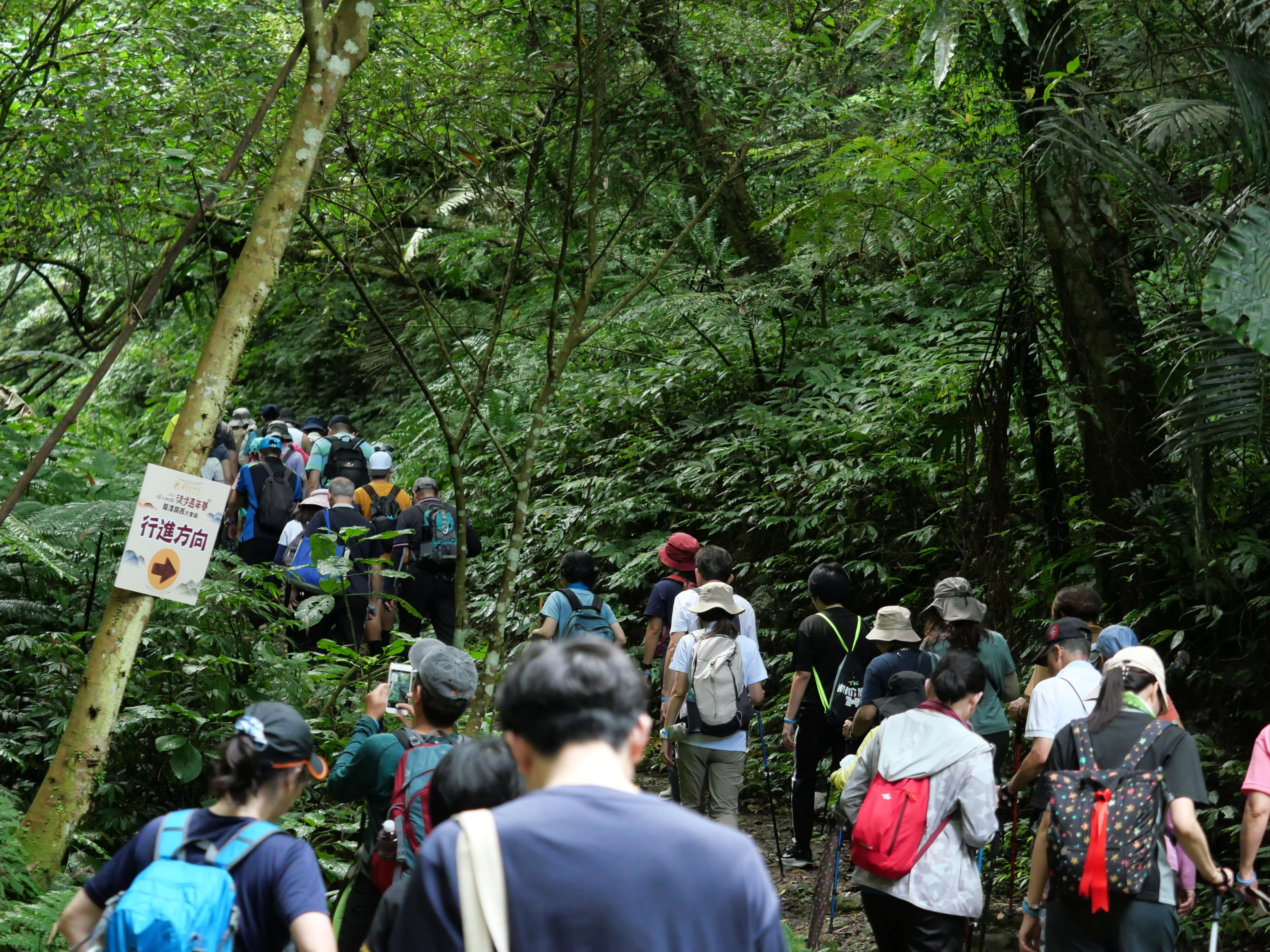 樟之細路步道嘉年華，400位民眾，走在綠意盎然的山林步道，享受大自然的氛圍。台灣千里步道協會提供