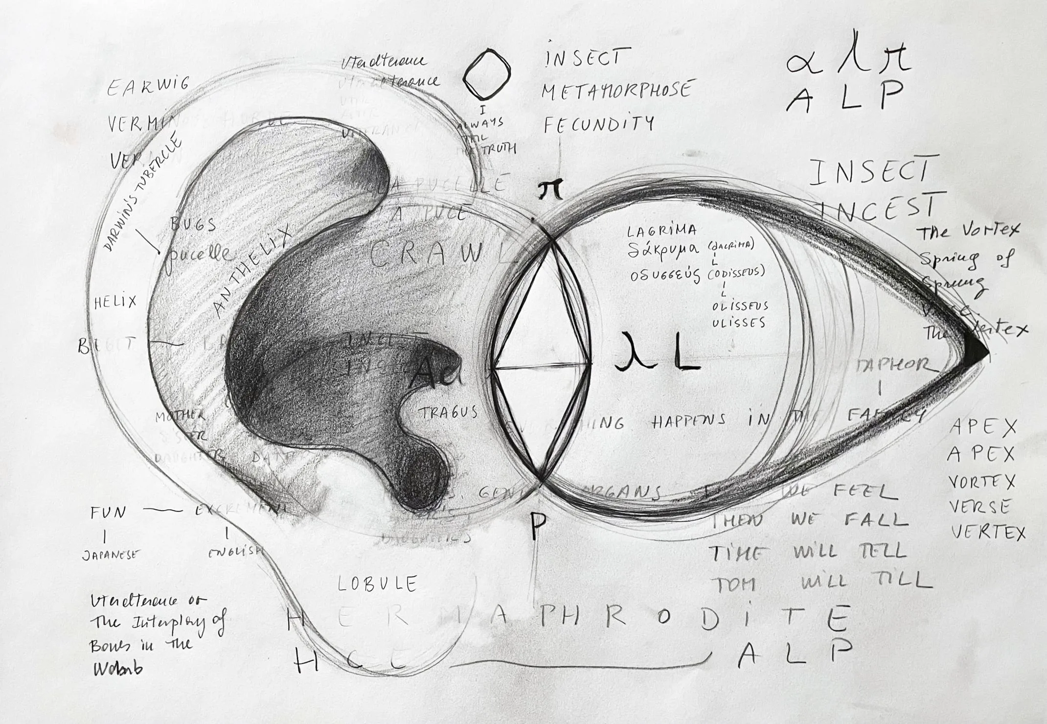 「不平靜的現在」展覽作品《L’insecte 21 （aus der Serie Mad Marginal Charts）》。翻攝自Hamburger Kunsthalle