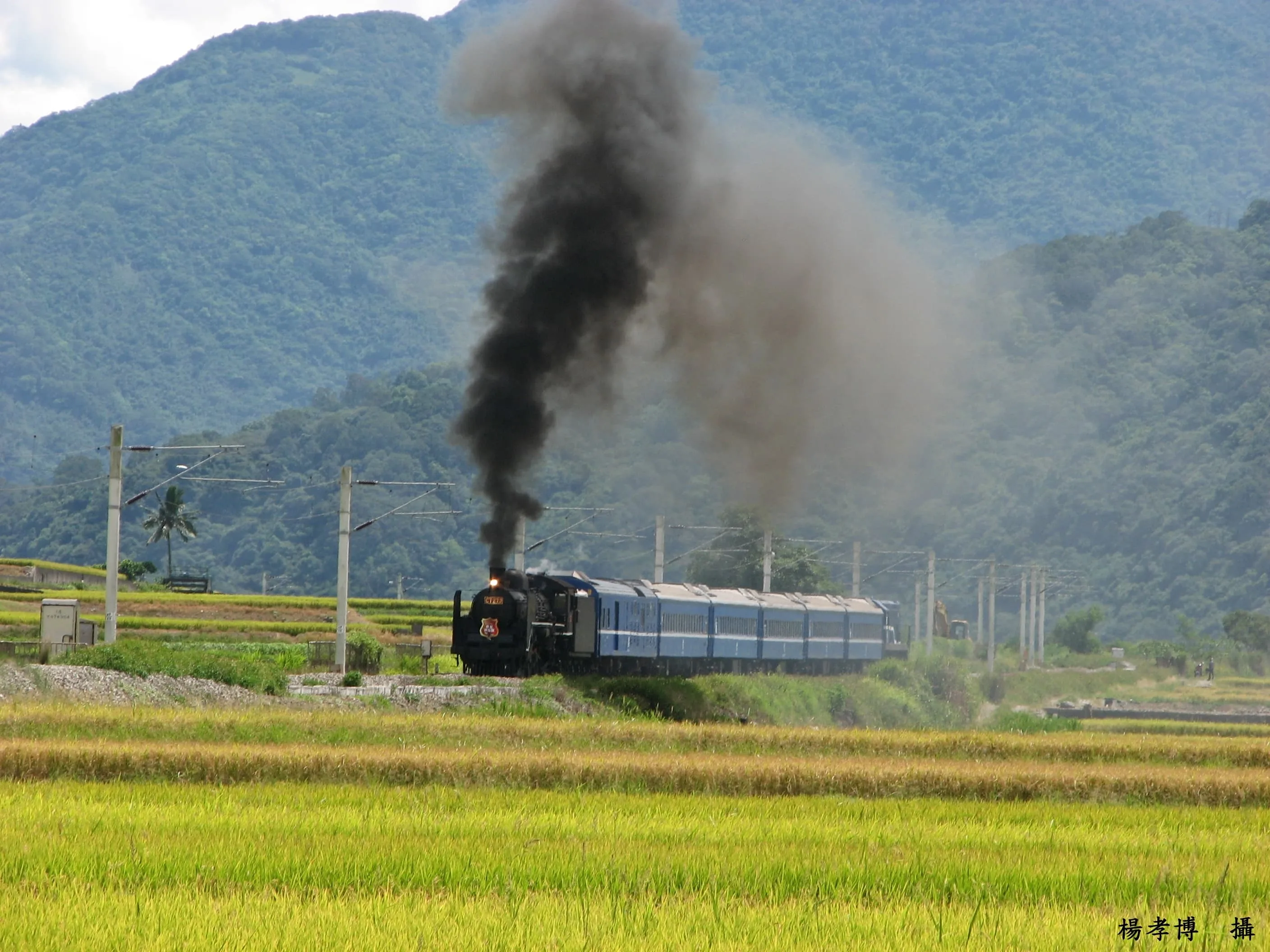 2024年仲夏寶島號行駛花蓮到台東，沿途停靠玉里、富里、池上、山里及台東等站（資料照）。台鐵提供