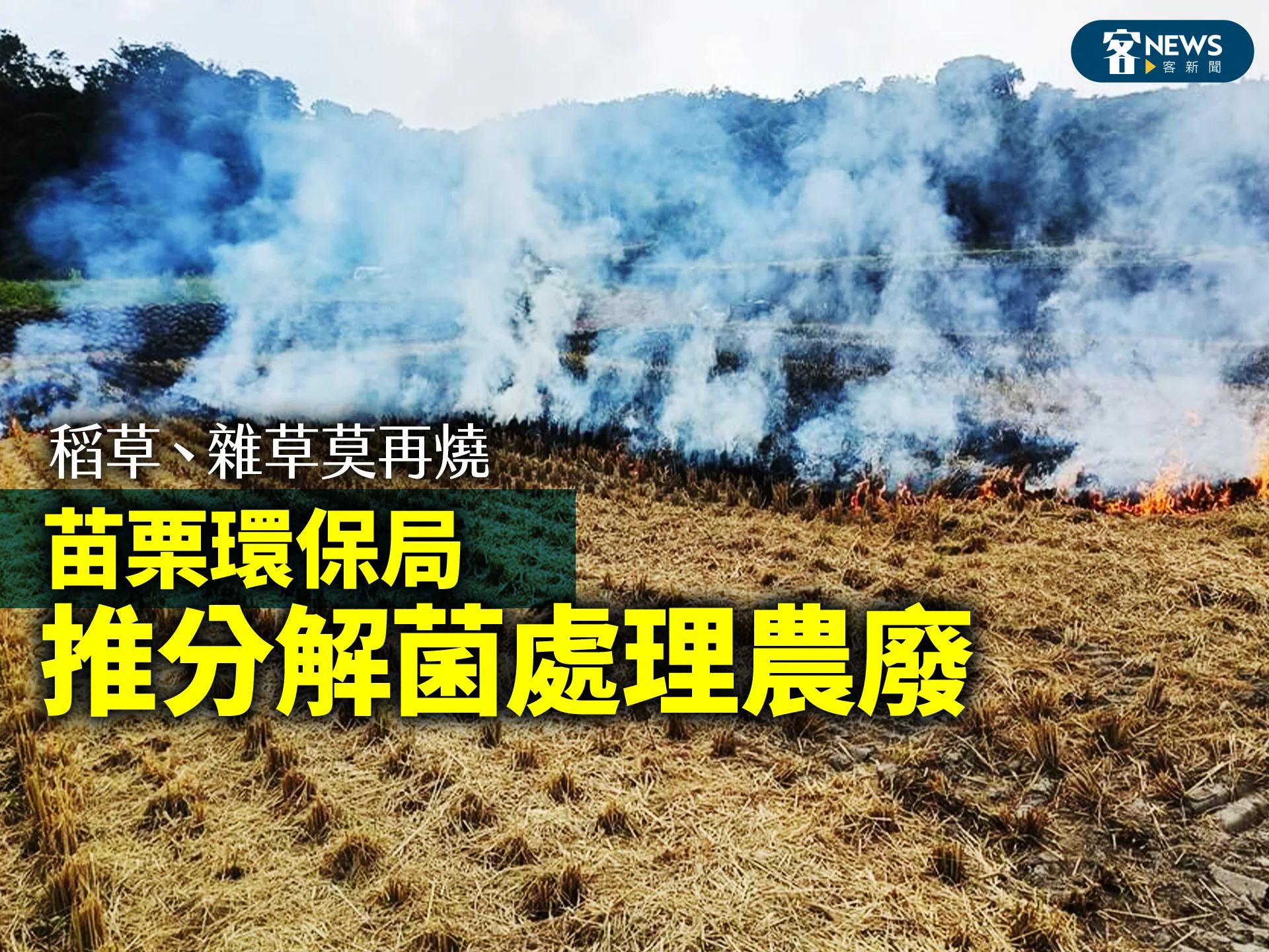 稻草、雜草莫再燒　苗栗環保局推分解菌處理農廢