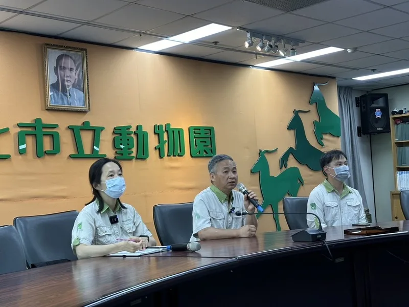 來自日本的馬來貘「Hideo英雄」在搭機過程中身亡，台北市立動物園發言人曹先紹（中）、獸醫室主任賴燕雪（左）24日說明初步解剖結果。中央社