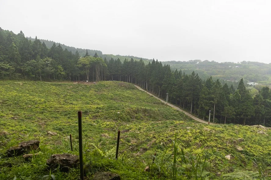 華航認養南庄林地5公頃　攜手賽夏族共造林2萬棵樹