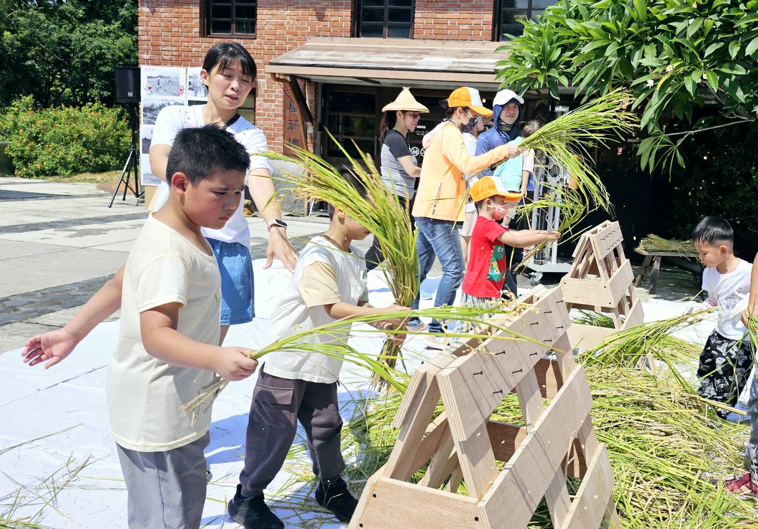 六堆客家園區23日舉辦割禾體驗,民眾體驗復古踩踏打穀機。六堆客家文化園區提供