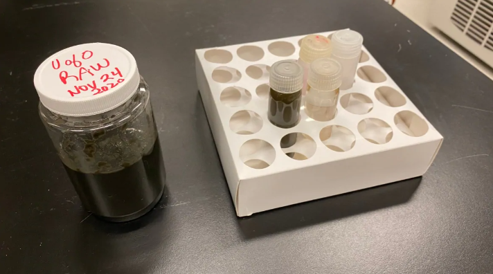廢水中的病毒種類與含量可供專家做為憶情參考。翻攝自CBCLondonMorning《推特》