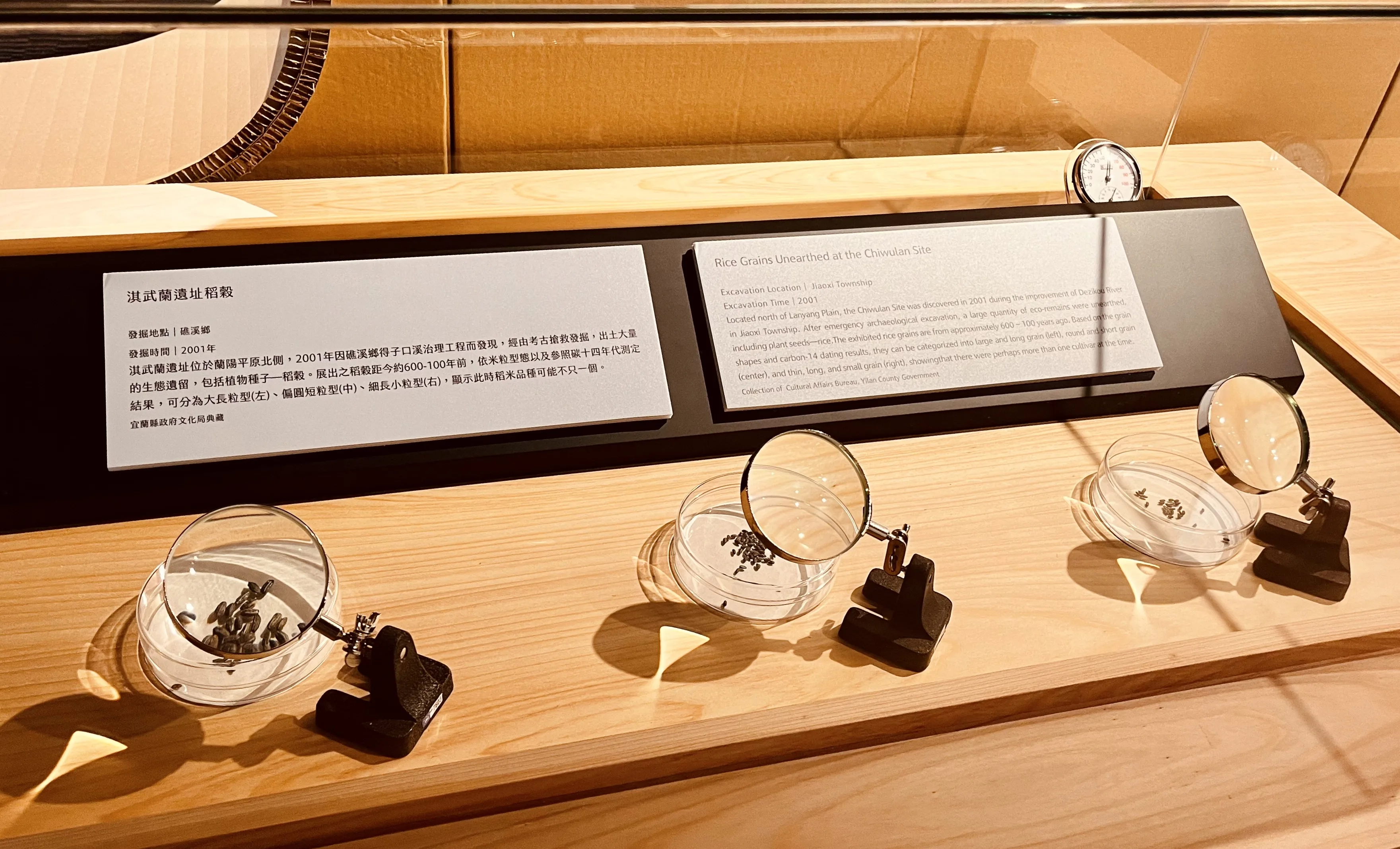 展覽有從淇武蘭考古遺址挖掘出來的炭化米。陳芸葦攝