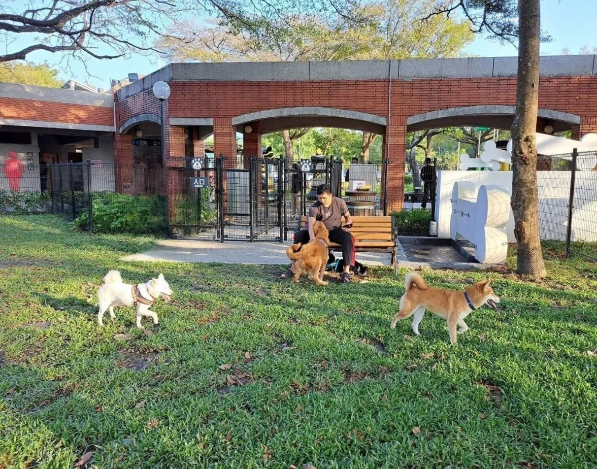 古坑服務區的寵物公園。翻攝自高公局網站