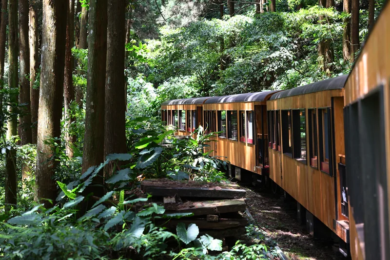 有阿里山移動美術館之稱的檜木列車「福森號」獲選為最想搭乘觀光列車。中央社