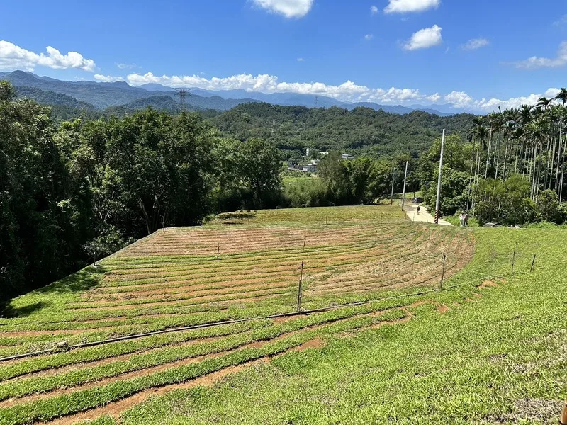 新竹關西山頭遭不當開發　縣府開罰地主限期2個月改正