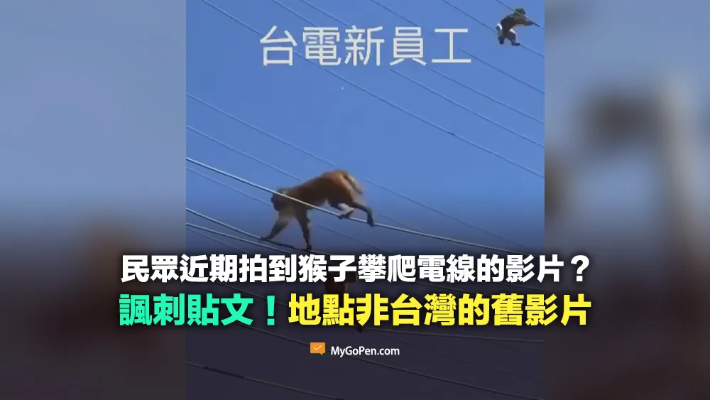 【易誤解】網傳猴子攀爬電線的影片？諷刺貼文！地點非台灣的舊影片