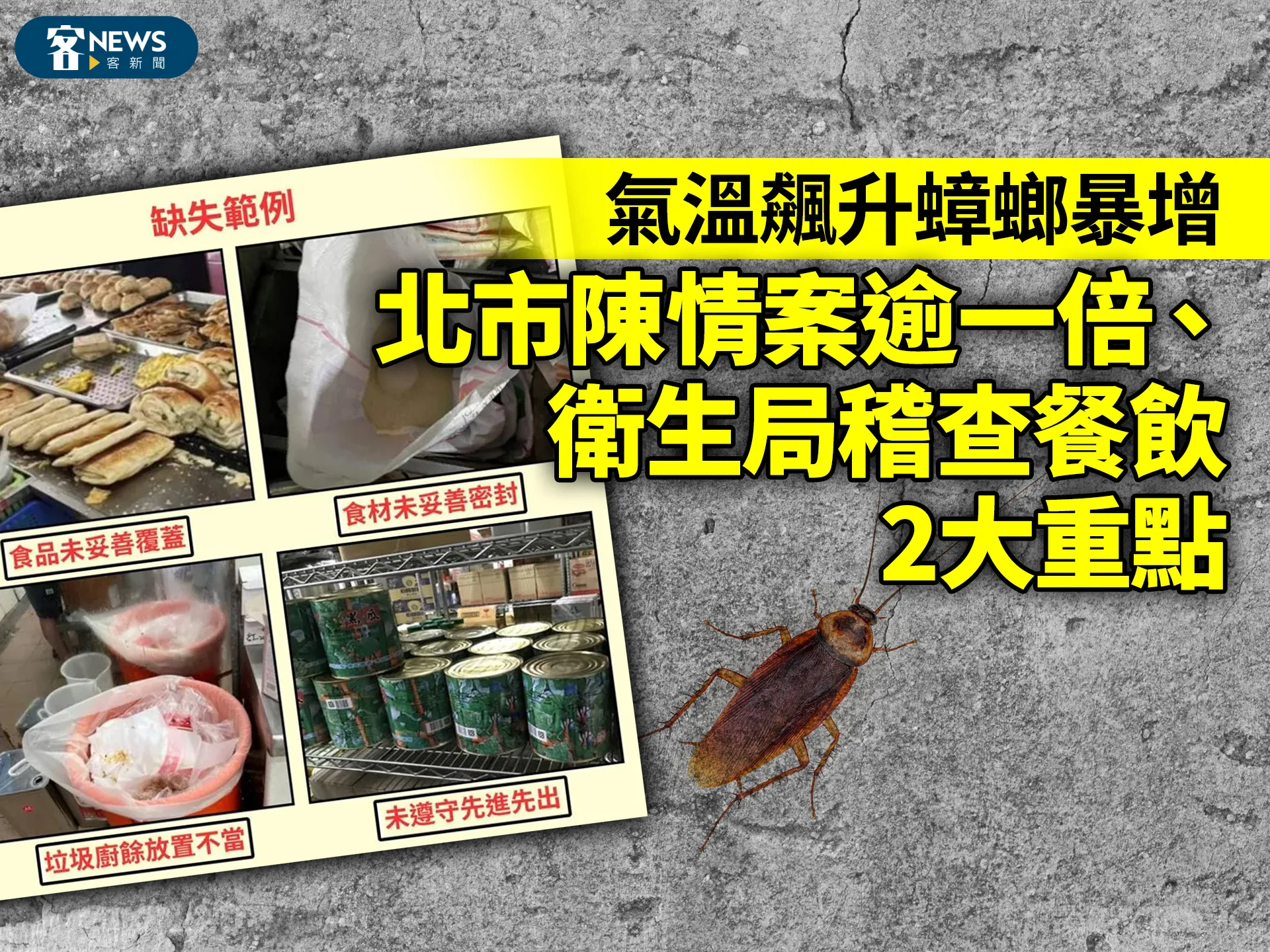 氣溫飆升蟑螂暴增　北市陳情案逾一倍、衛生局稽查餐飲2大重點